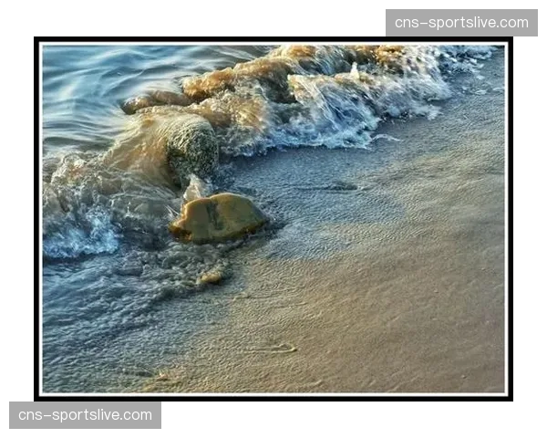 志愿者日记：记录世锦赛后台，从热身区到检录处的忙碌十二小时